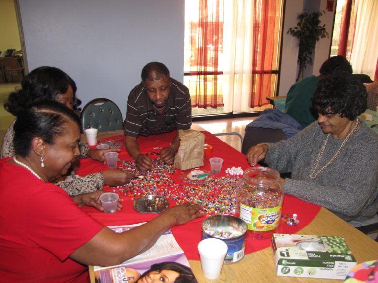 Adult Medical Day Care Activity-2013